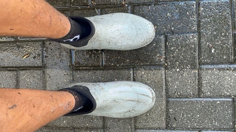 person wearing light-colored clogs and black socks standing on a wet cobblestone surface