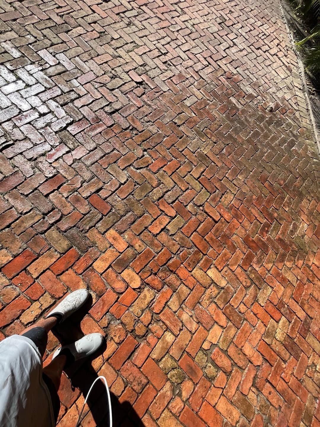 Person wearing white shoes standing on a wet brick pathway with a textured surface.