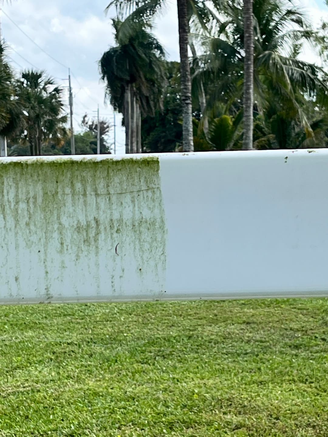 Clean versus dirty surface on a white fence, with tropical palm trees in the background.