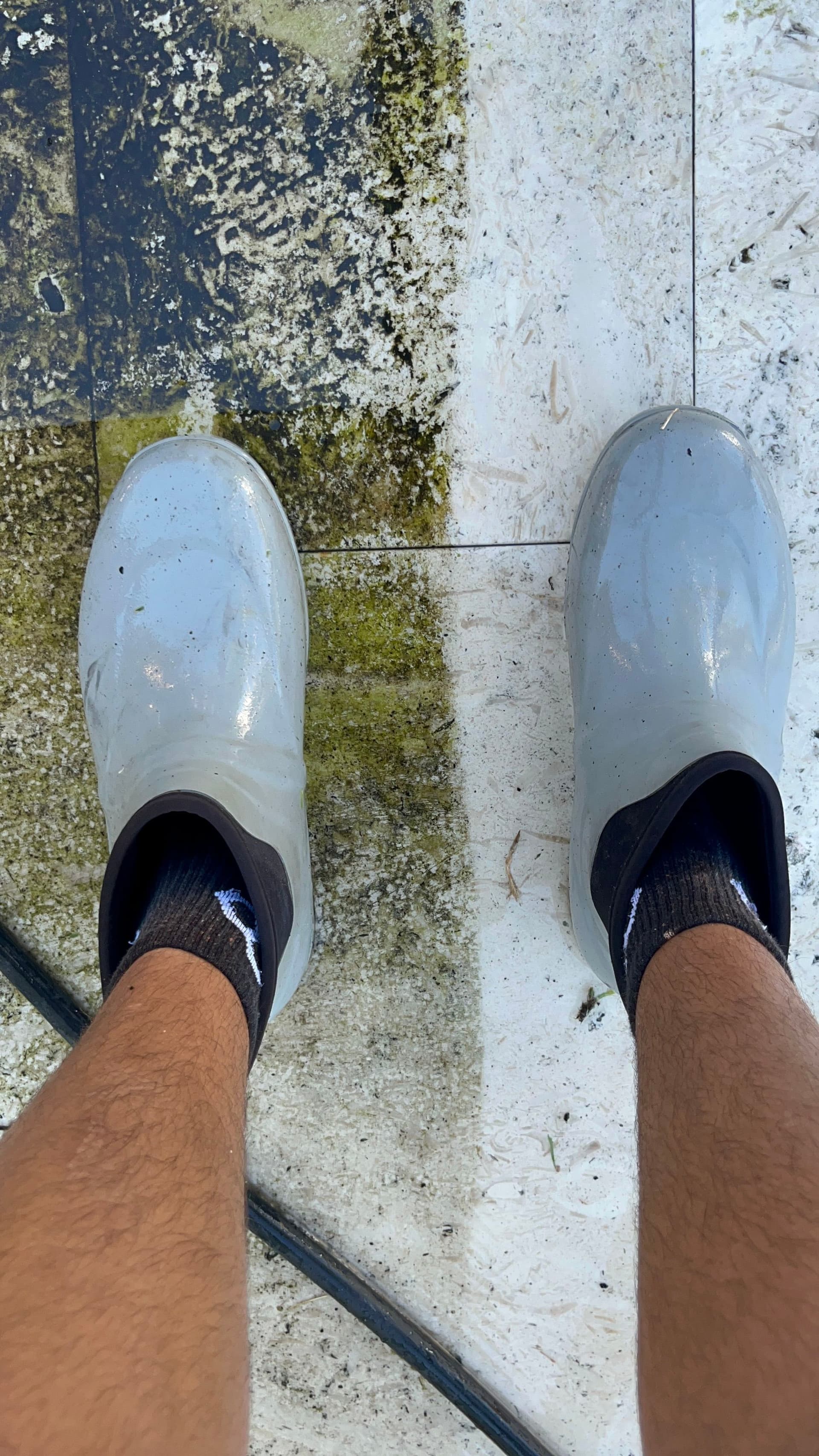 Gallery photos for Spotless Poolside Pressure Washing in Hialeah: Image #8