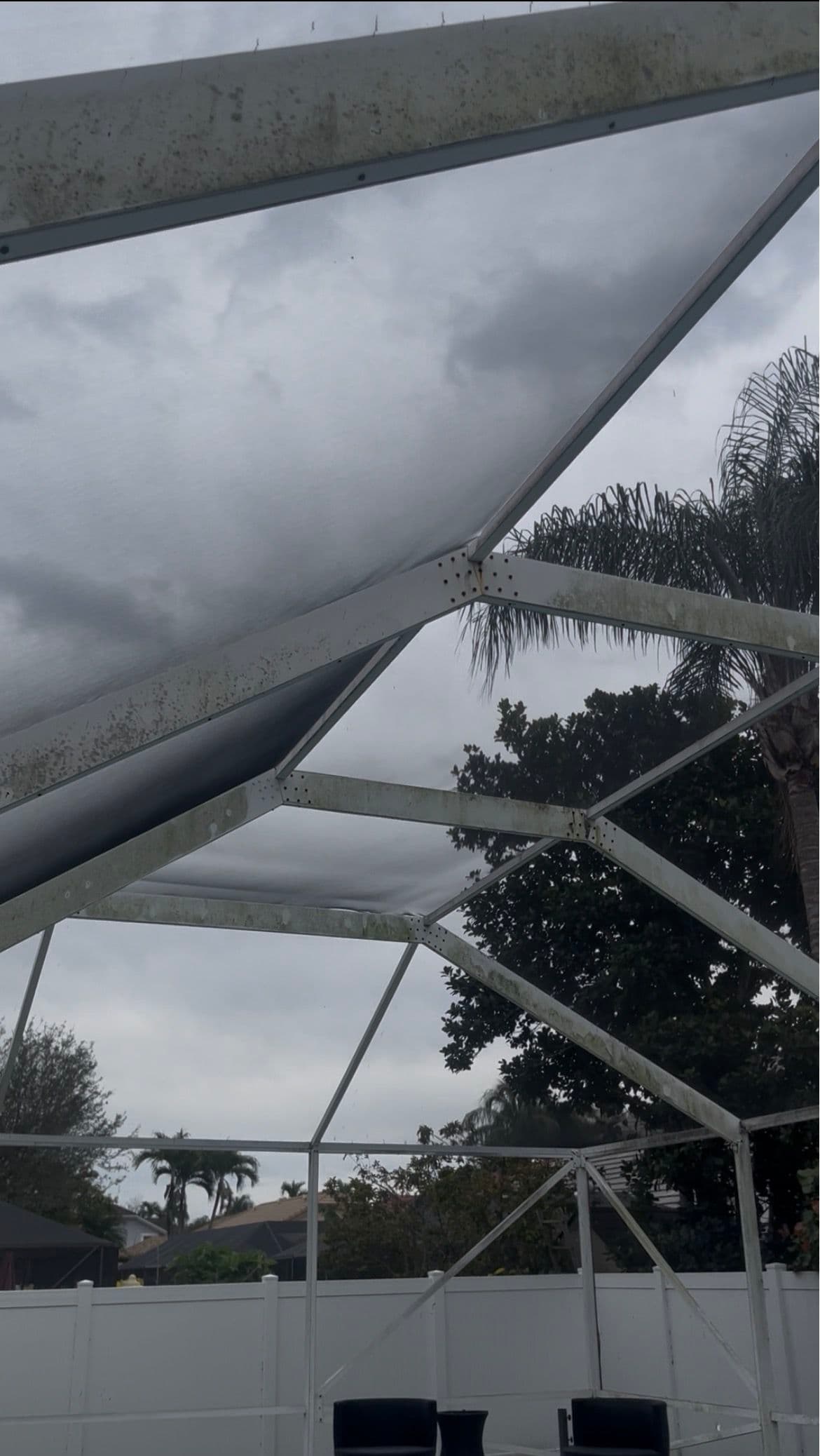 Gallery photos for Pool Enclosure Softwashing: Max SoFlo Unlimited's Touch: Image #4