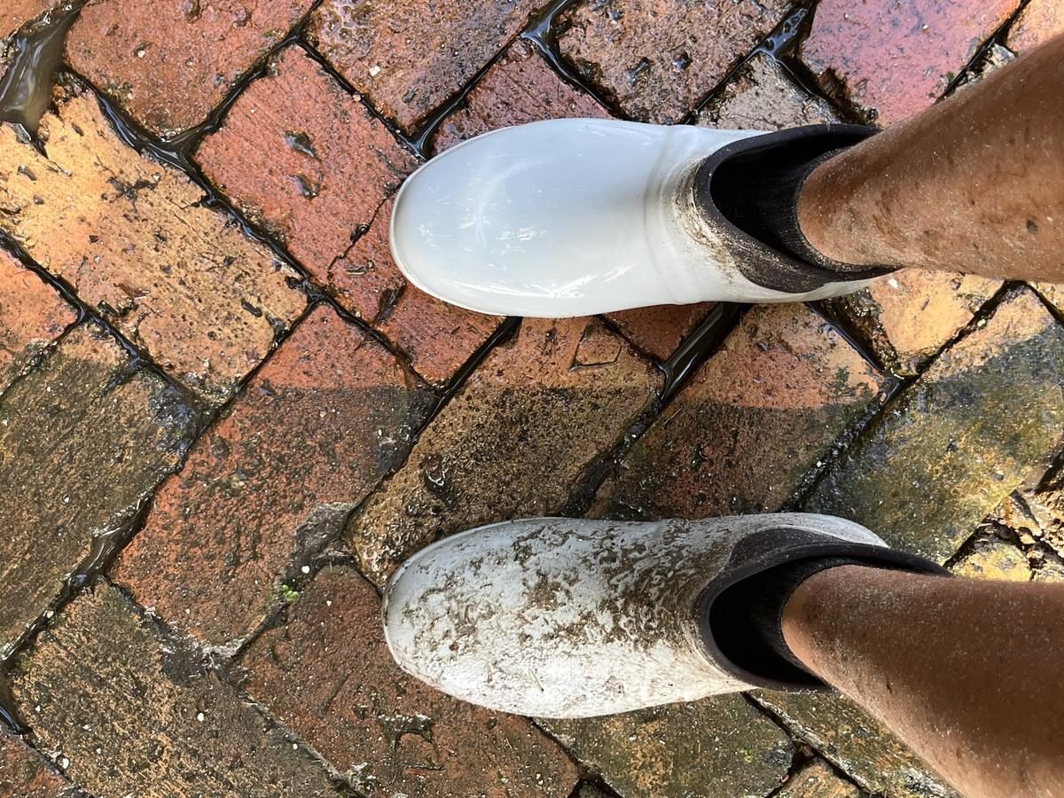 South Florida Exterior Cleaning - Max SoFlo Unlimited