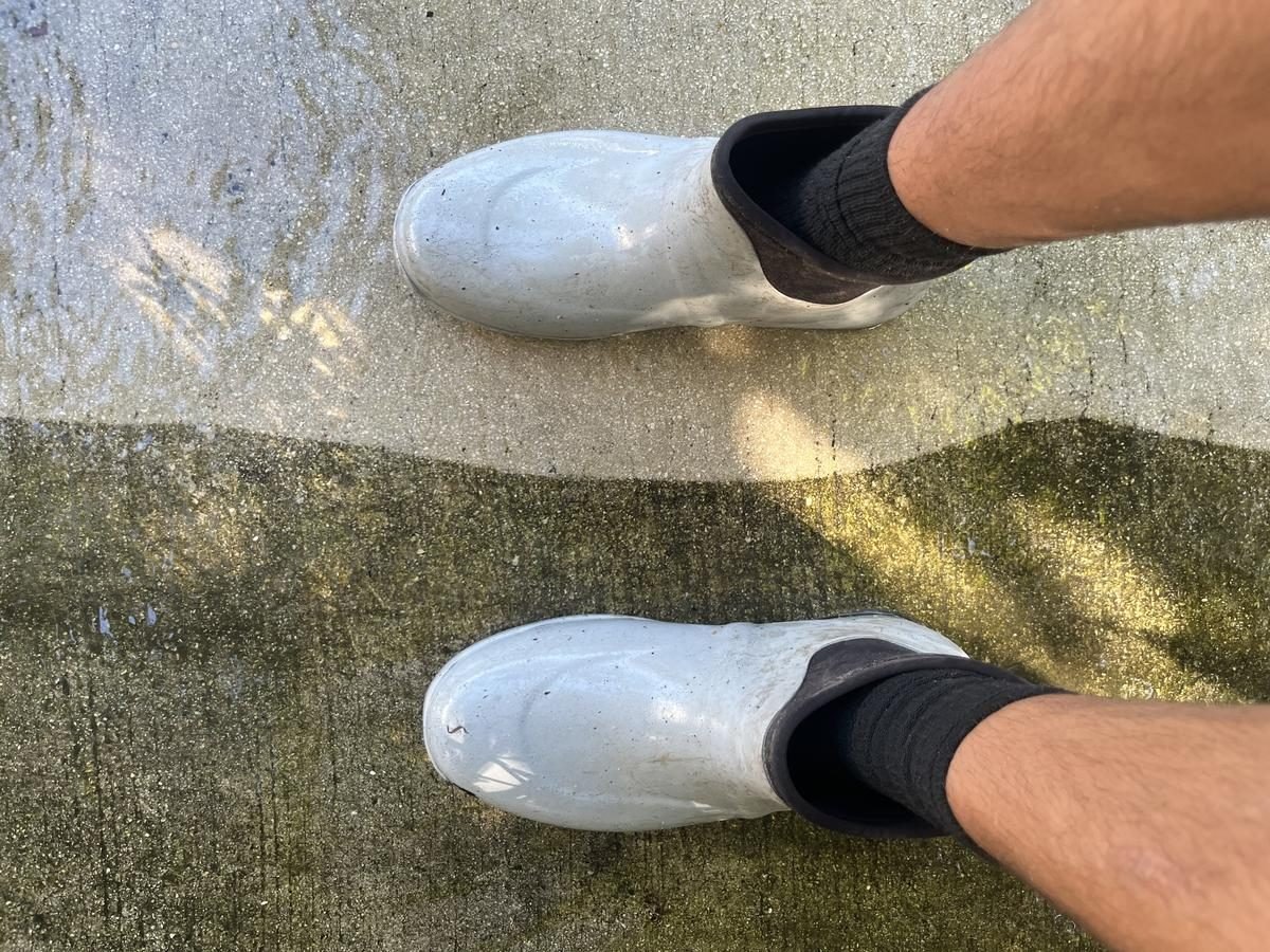 Driveway Cleaning South Florida - Max SoFlo Unlimited