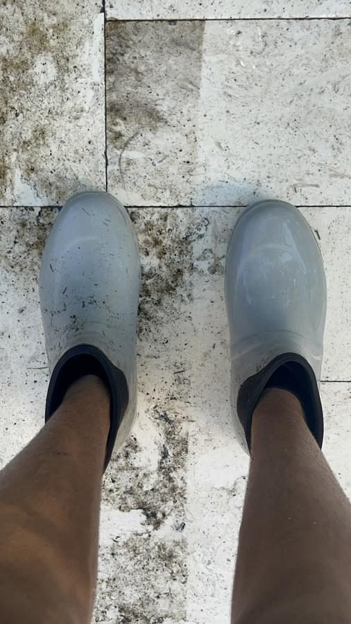 Professional Cleaning Results - Max SoFlo Unlimited